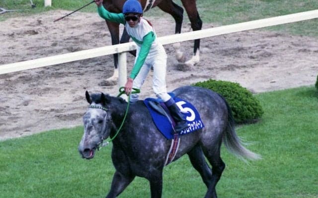 『ウマ娘』でも再現されている宿命　メジロマックイーンが「世紀の対決」で見せた一門の集大成