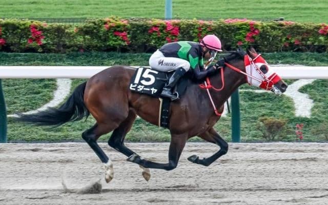 【東海S想定騎手】ビダーヤは坂井瑠星騎手、ヤマニンウルスは武豊騎手