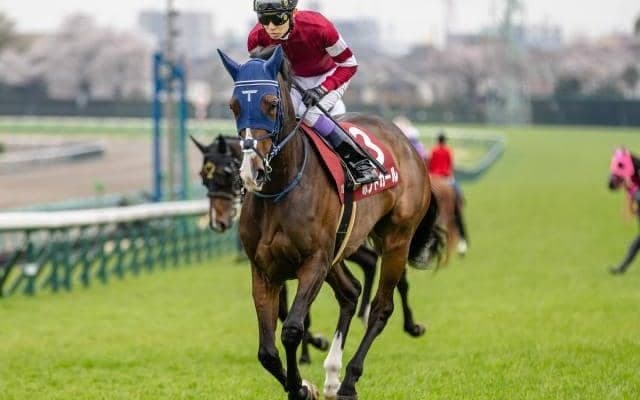 【関屋記念想定騎手】ボンドガールはC.ルメール騎手、カナテープはR.キング騎手