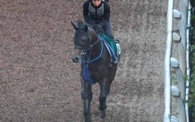 サウンドラッシュなど、先週のゲート試験/栗東トレセンニュース