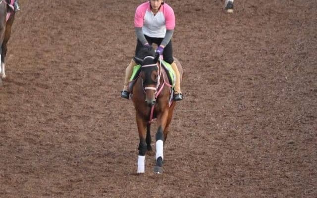 メリーウィドウの2023(ヴィリアズソング)など、先週の入厩情報/栗東トレセンニュース