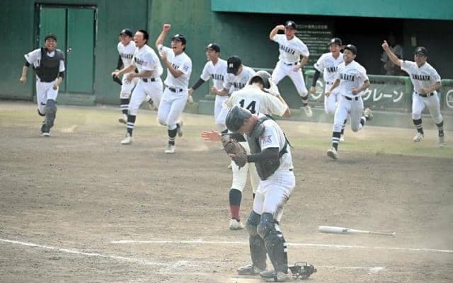 鶴岡東、山形南が準決勝へ　高校野球山形大会