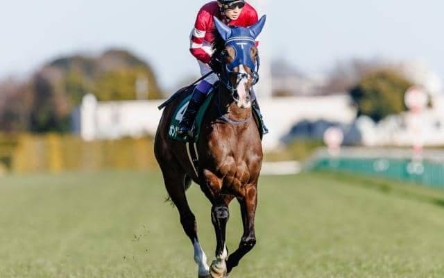 【関屋記念予想オッズ】ボンドガールが予想1番人気