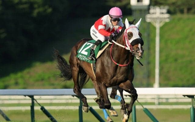 【盛岡・若鮎賞】山本聡哉「芝ダート問わない」セイクリスティーナが重賞初V