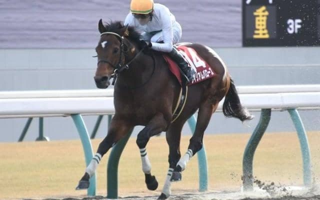 今年から「ダ1400m」に変更 第42回を迎える東海Sの歴史振り返る