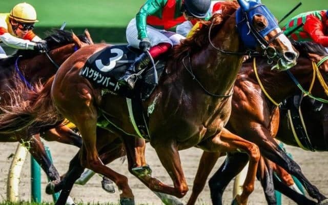 【関屋記念】小崎綾也騎手が7年ぶりのJRA重賞制覇なるか ハクサンバードで参戦