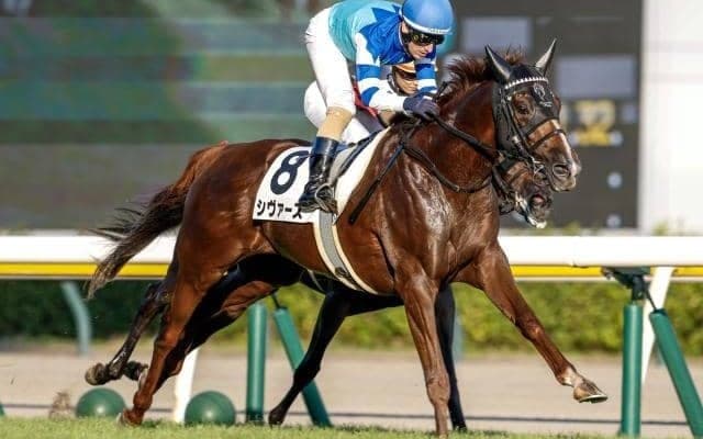 【関屋記念予想】AIは妙味十分な一頭をチョイス 不安要素も少なく狙いめか