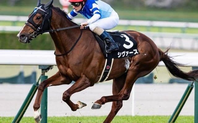 【関屋記念】「大魔神」佐々木主浩オーナーの良血 シヴァースが重賞初制覇なるか