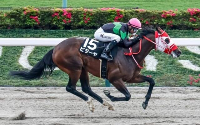 【東海S出走馬・騎手確定】ビダーヤ＆坂井瑠星騎手、オメガギネス＆岩田康誠騎手など16頭