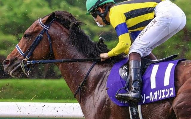 半兄にソールオリエンスなど フィロステファニが新潟3Rで初陣