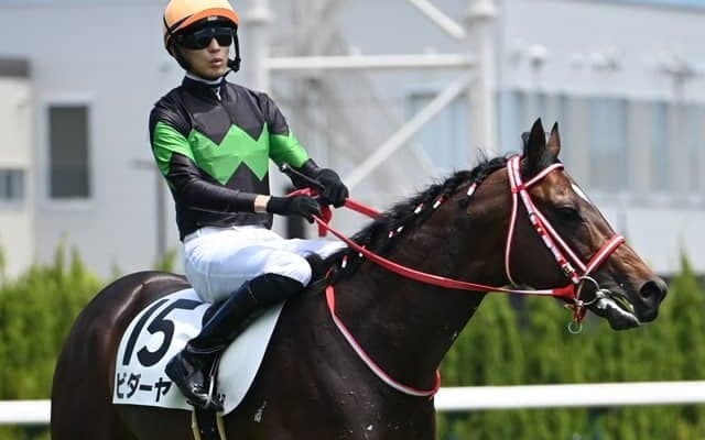 【東海S枠順確定】ビダーヤは1枠2番、ヤマニンウルスは4枠7番