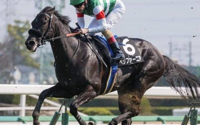 【新潟日報賞】半兄はGI・3勝のエフフォーリア ペリファーニアが連勝でオープン入りなるか