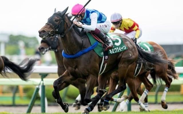 23年函館スプリントS覇者のキミワクイーンが登録抹消 今後は繁殖入りの予定