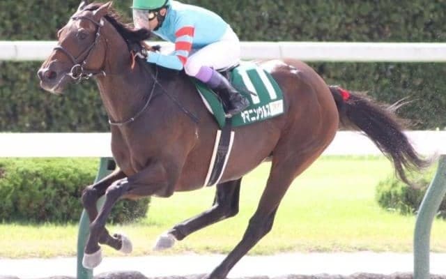 今週の武豊騎手は10鞍 節目の4600勝まであと5勝