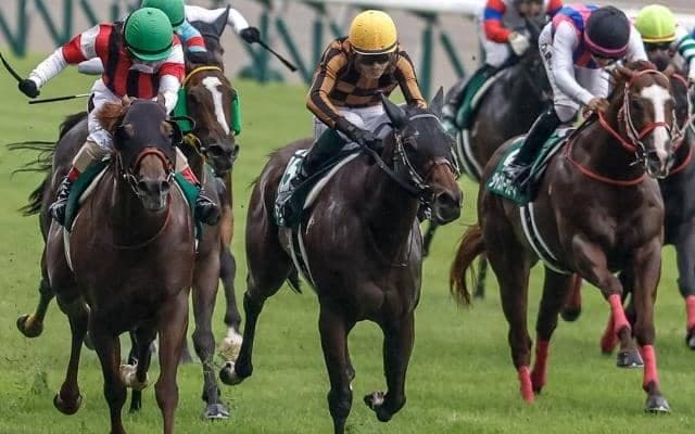 【アイビスSD想定馬・騎手】モズメイメイ、ウイングレイテストなど18頭