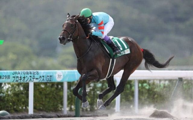 武豊騎手 今週の騎乗馬…東海Sはヤマニンウルスとのコンビ