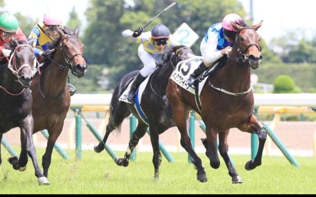 キミワクイーンの競走馬登録抹消…繁殖予定