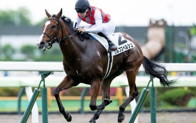 【今日の注目ポイント】新潟・中京で暑熱対策「競走時間帯の拡大」がスタート