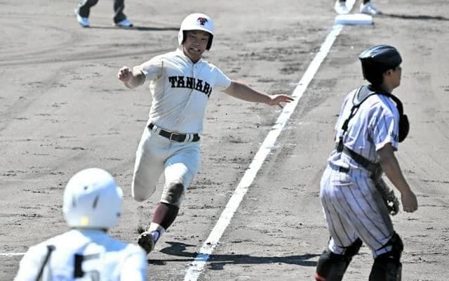 高校野球の和歌山大会、26日に準決勝　ベスト4の各チームの強みは