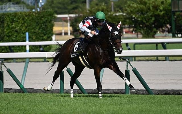 【関ケ原S】1番人気の好走率高め 母の父キングマンボ系に注目