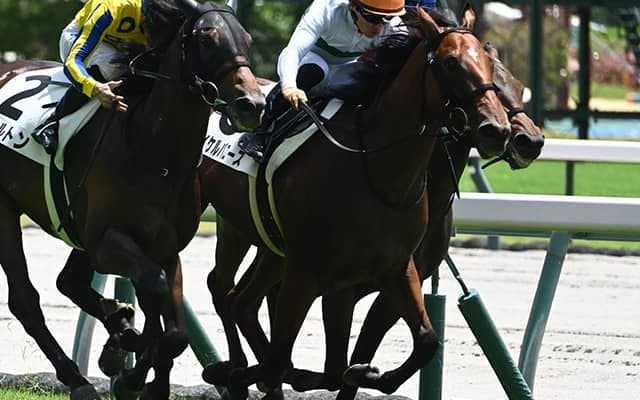 【中京4R新馬戦結果】ロードカナロア産駒マイケルバローズが接戦を制す