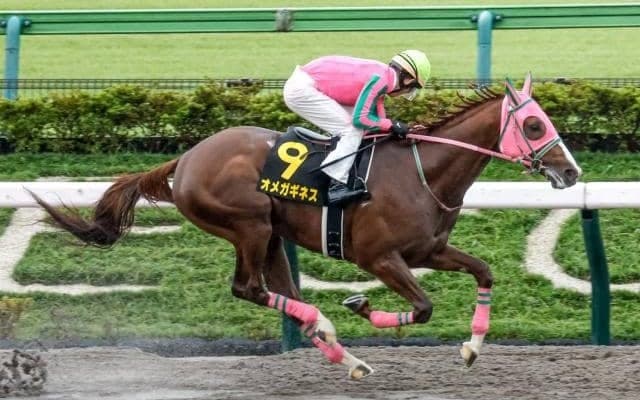 【東海S予想】近走の不振から脱却なるか？ 血統面から大きな割引が必要になりそうな人気馬とは