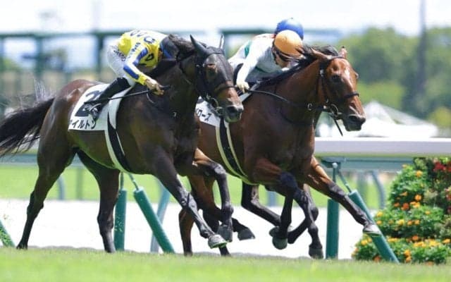 【新馬/中京4R】ロードカナロア産駒 マイケルバローズがデビューV