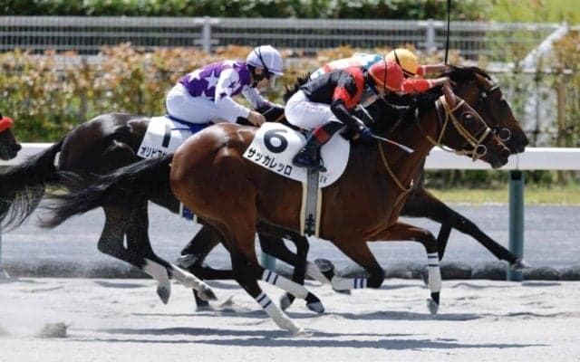 【中京2R】バデル騎手が来日初勝利…サッカレッロで快勝