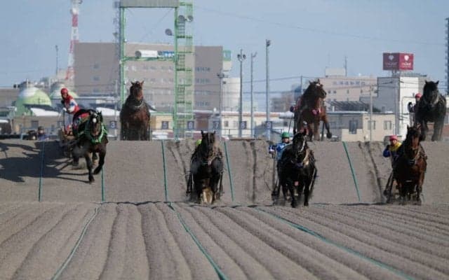 【ばんえい十勝】真夏の帯広が熱い！8月10日「ばんえいグランプリ」と夏祭り開催