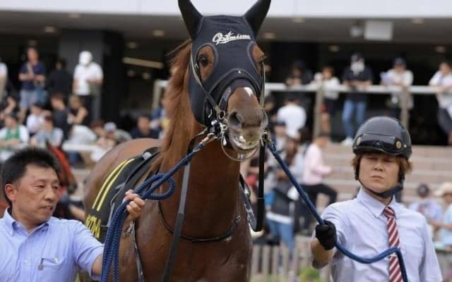 中京ダートは差し可能 東海Sは外枠巧者のサンライズフレイムが狙い目だ