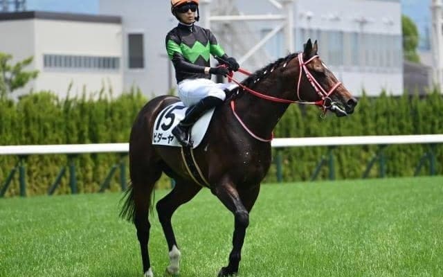 【東海S前日オッズ】ビダーヤが3.8倍で1番人気