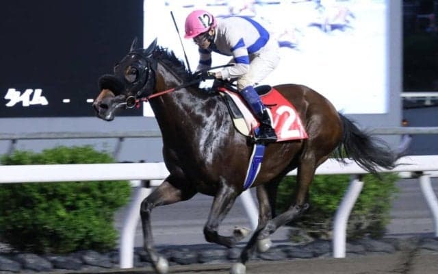 【高知・五台山特別】1番人気ケイアイメープルが接戦制す…赤岡騎手「理想的な形」