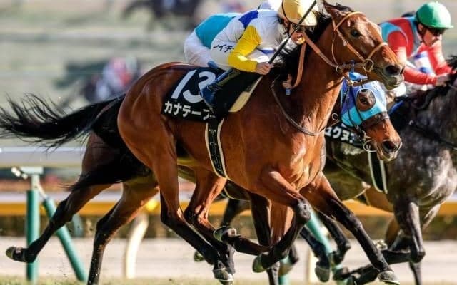 【今日の注目ポイント】新潟で関屋記念と中京で東海S