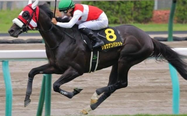 【札幌日経賞】4歳が好成績 人気馬の信頼度が高い長距離戦