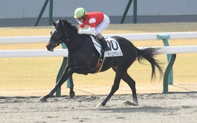 【東海S予想】舞台変更で逃げ、先行馬が圧倒的に有利に