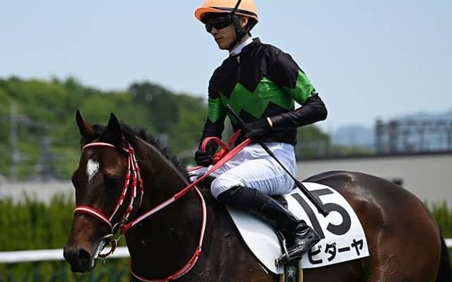 【東海S】平穏決着が濃厚!? 複勝率46％と要注目の血統とは