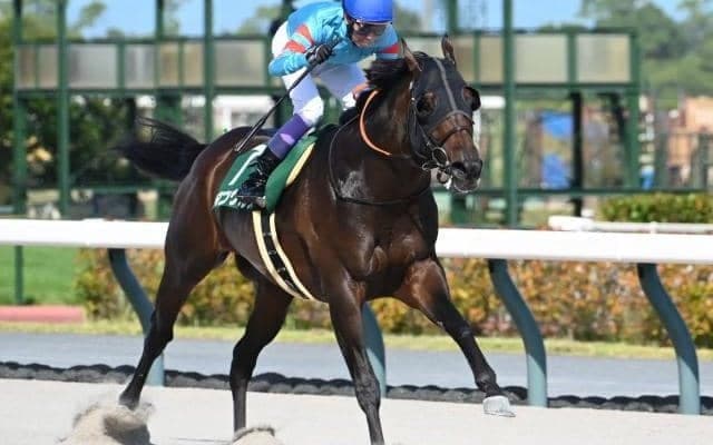 【東海S結果】武豊騎手騎乗のヤマニンウルスが3馬身半差で完勝！ 復活の重賞2勝目！