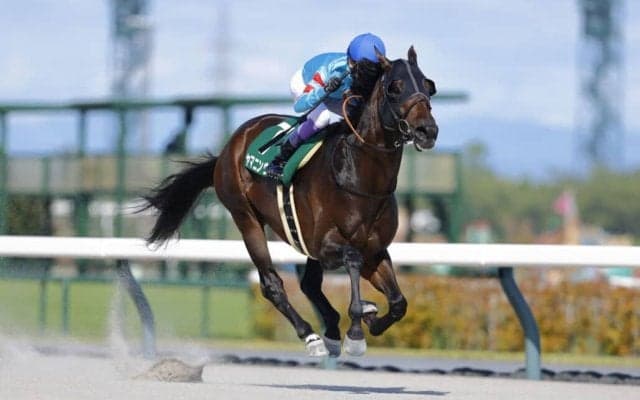 【東海S】武豊ヤマニンウルスが復活で重賞2勝目