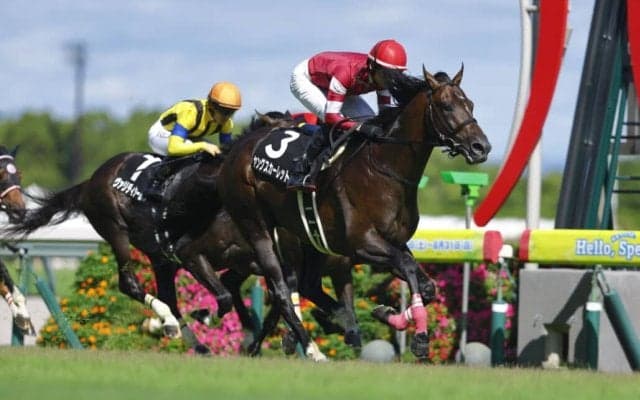 【木曽川特別】サトノアラジン産駒 ヤングスカーレットが3連勝