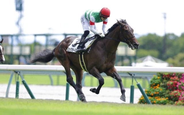 【新馬/中京3R】シスキン産駒 ロックターミガンがデビューV