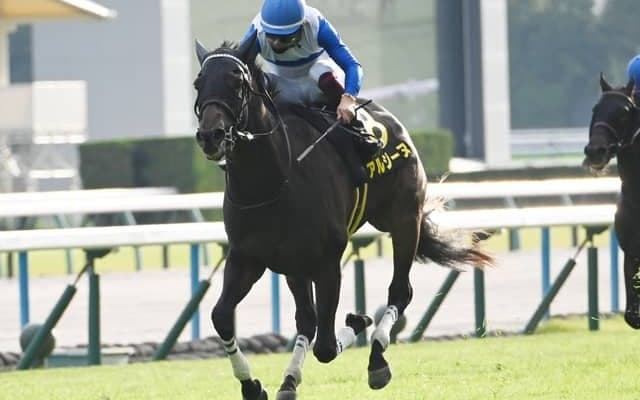 【クイーンS見どころ】充実著しいアルジーヌが中心