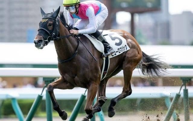 【アイビスSD想定騎手】ピューロマジックはC.ルメール騎手、テイエムスパーダは斎藤新騎手