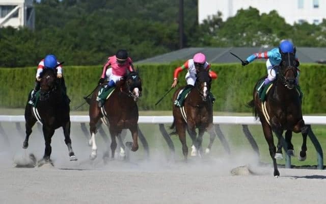 【東海S】売上は46億9636万4500円で昨年のプロキオンSより約6.4億円減少