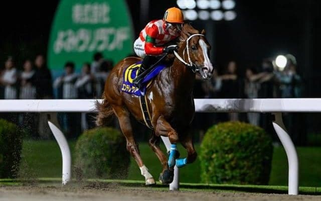 【船橋・習志野きらっとスプリント枠順】連覇を狙うエンテレケイアは6枠10番