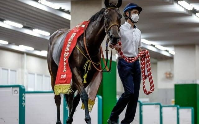 血統面から関屋記念＆東海Sを振り返る 勝ち馬2頭を深掘り