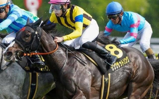 【クイーンS】武豊騎手が15年ぶり2勝目なるか テン乗りのシングザットソングで挑む