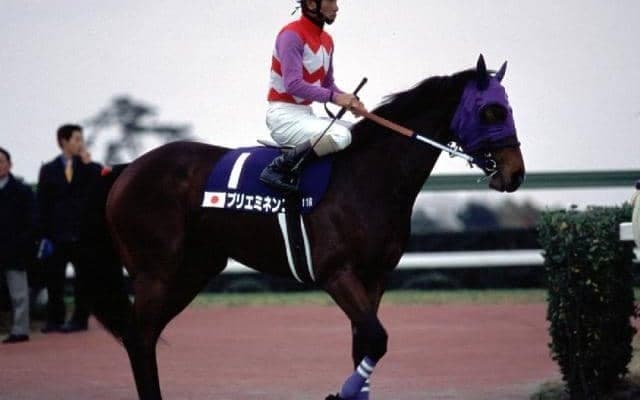 血統表でよくみる名馬「アフリート」を深掘り ダート重賞8勝プリエミネンスなどの父