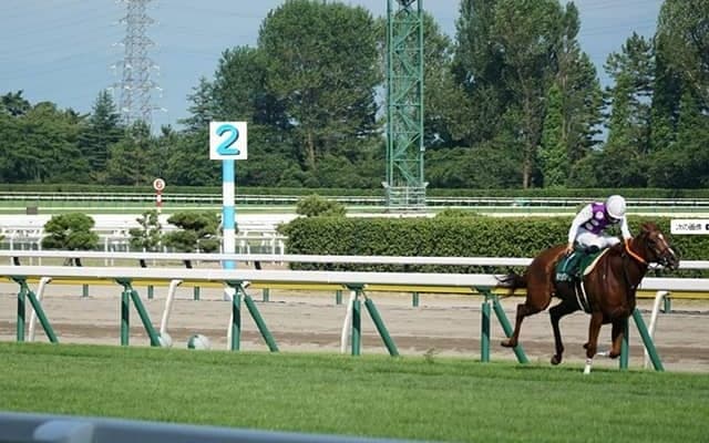 アイビスSDで最内枠から3着 バカラクイーンの記憶に残る内ラチ沿い