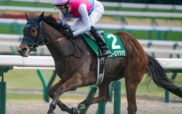 C.ルメール騎手がアイビスSDに初参戦 テン乗りのピューロマジックで戴冠なるか