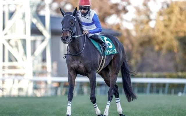 【クイーンS予想オッズ】アルジーヌが予想1番人気